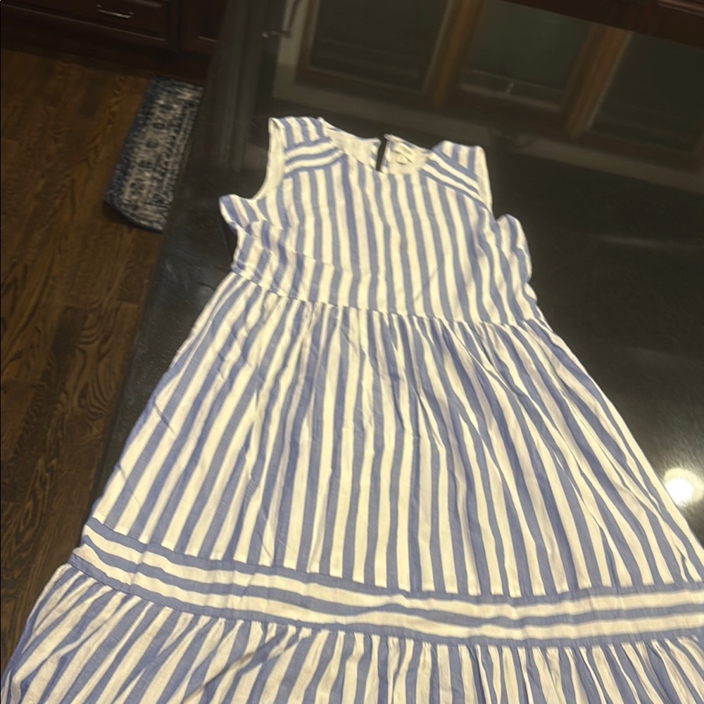 J. Crew Blue and White Pleated Sundress